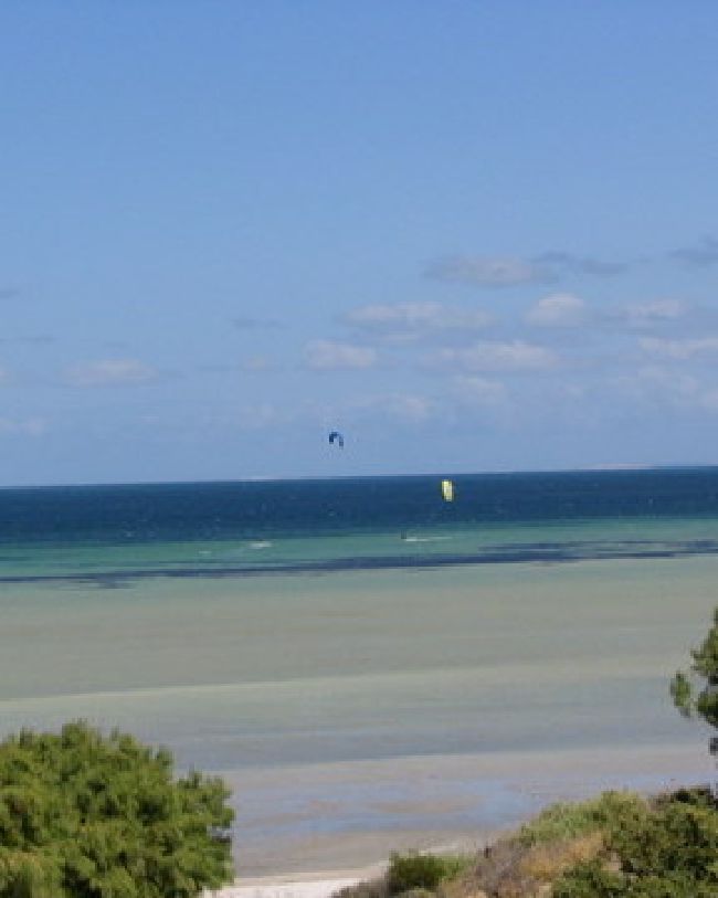 Sharkie Bay
