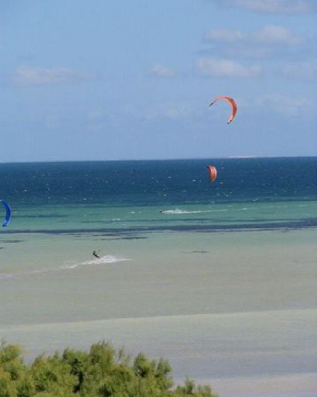 Sharkie Bay