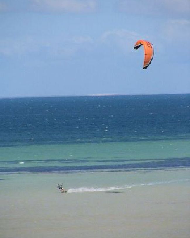 Sharkie Bay
