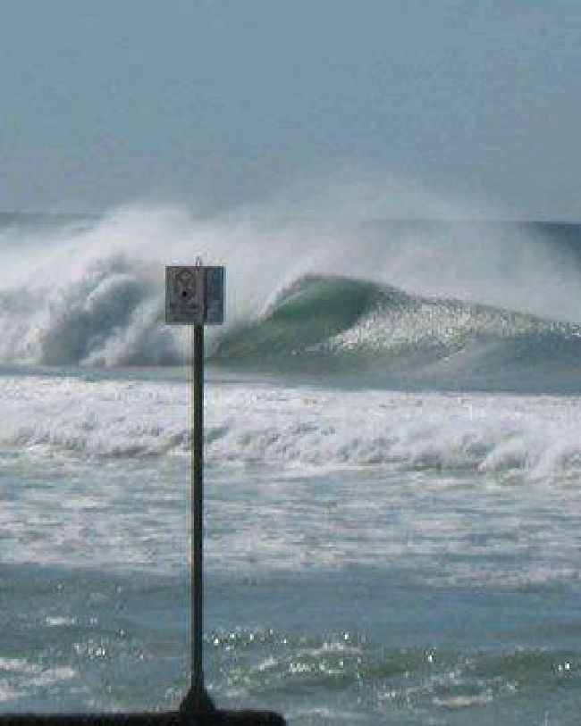Manly 1