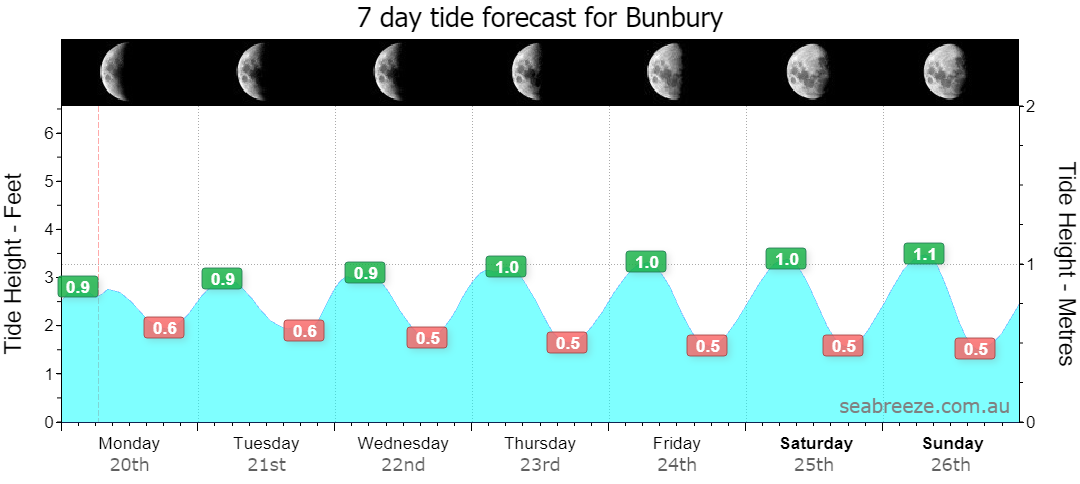 7 DAY TIDE FORECAST