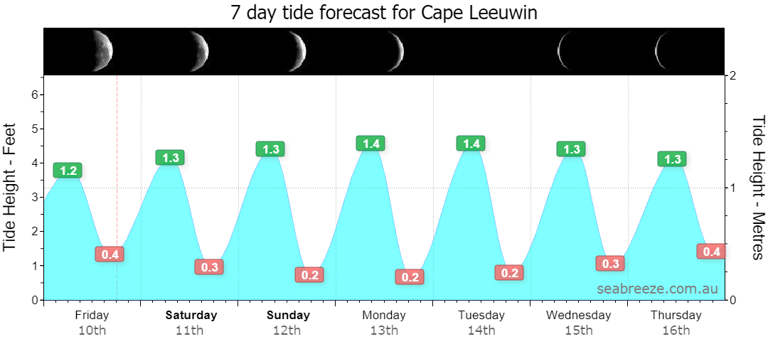7 DAY TIDE FORECAST