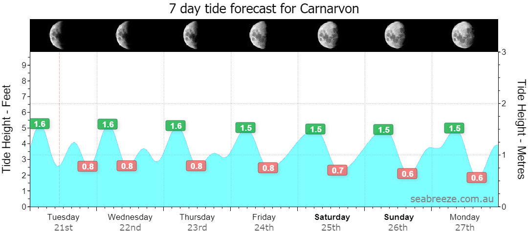7 DAY TIDE FORECAST