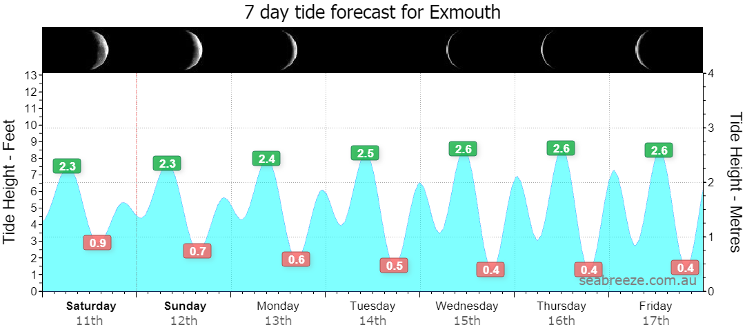 7 DAY TIDE FORECAST
