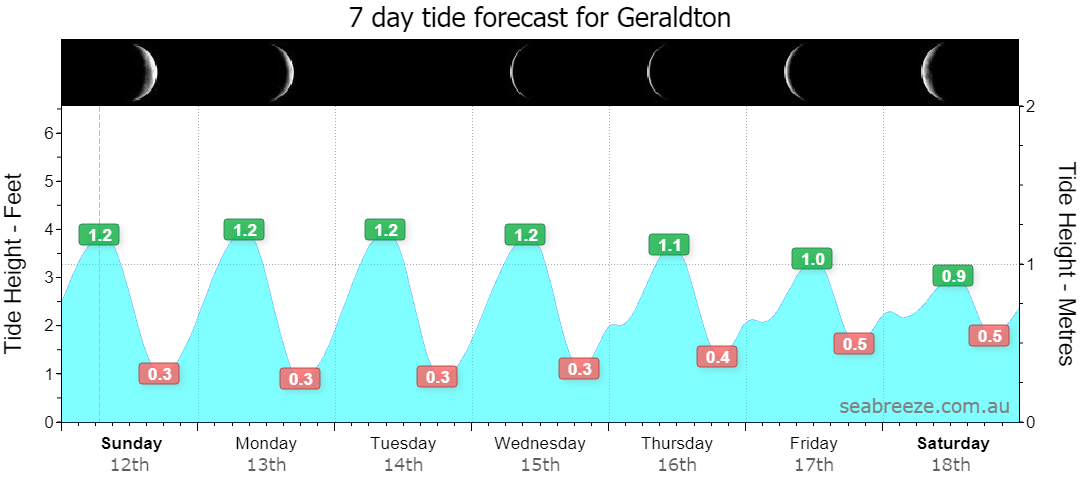 7 DAY TIDE FORECAST