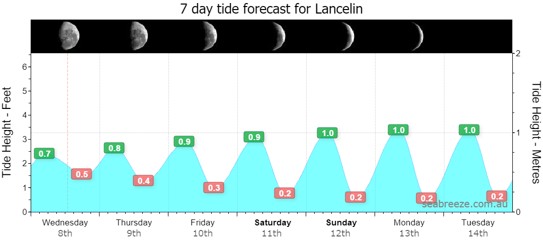 7 DAY TIDE FORECAST