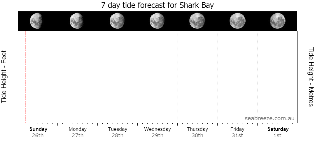 7 DAY TIDE FORECAST
