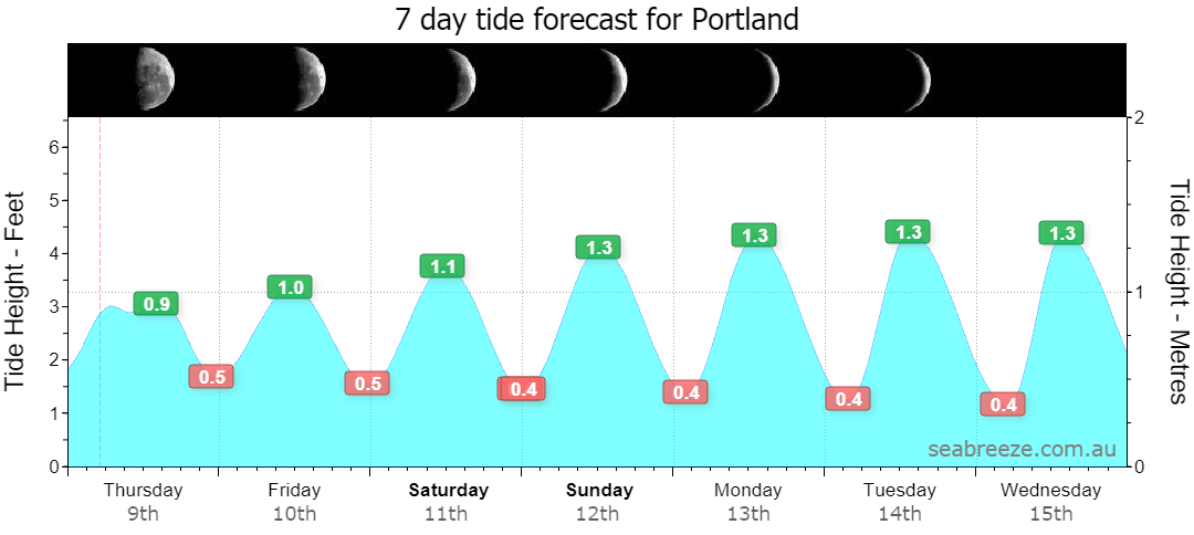 7 DAY TIDE FORECAST