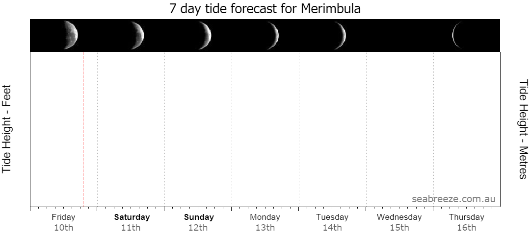 7 DAY TIDE FORECAST