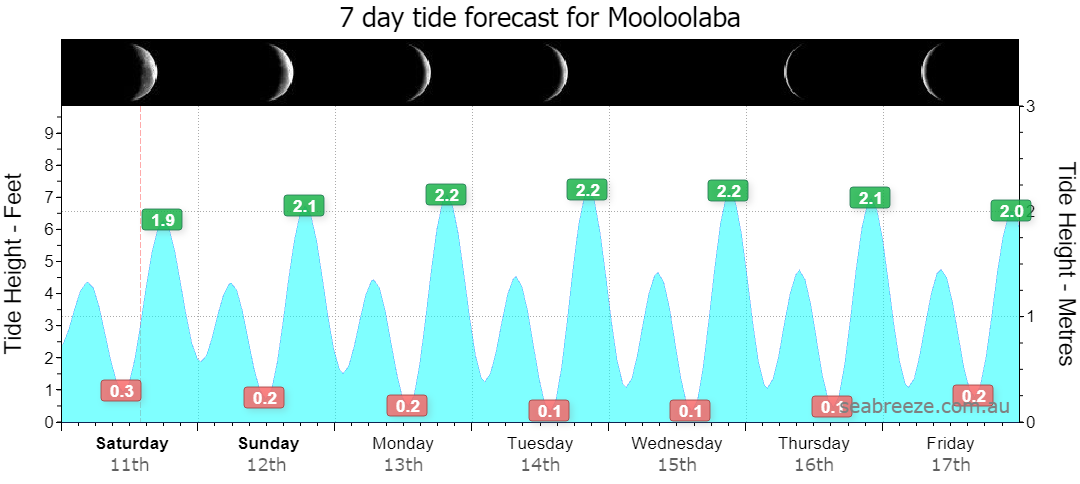 7 DAY TIDE FORECAST
