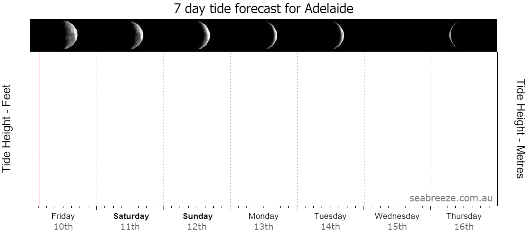 7 DAY TIDE FORECAST