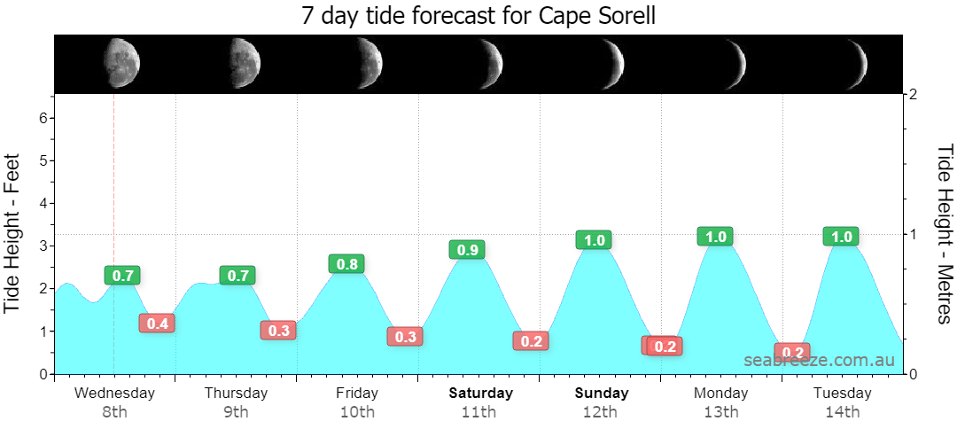 7 DAY TIDE FORECAST