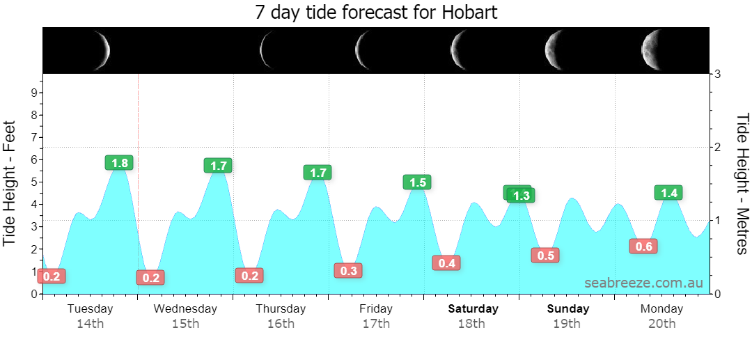 7 DAY TIDE FORECAST