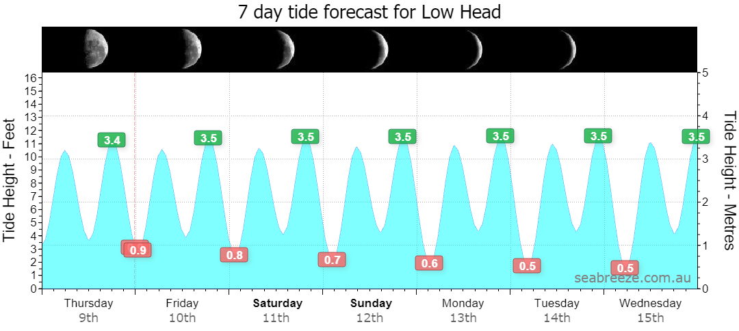 7 DAY TIDE FORECAST