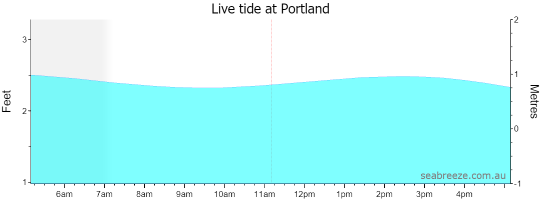 Live tide graphs