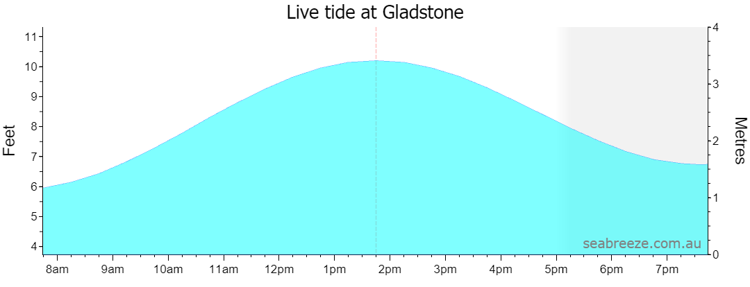 Live tide graph