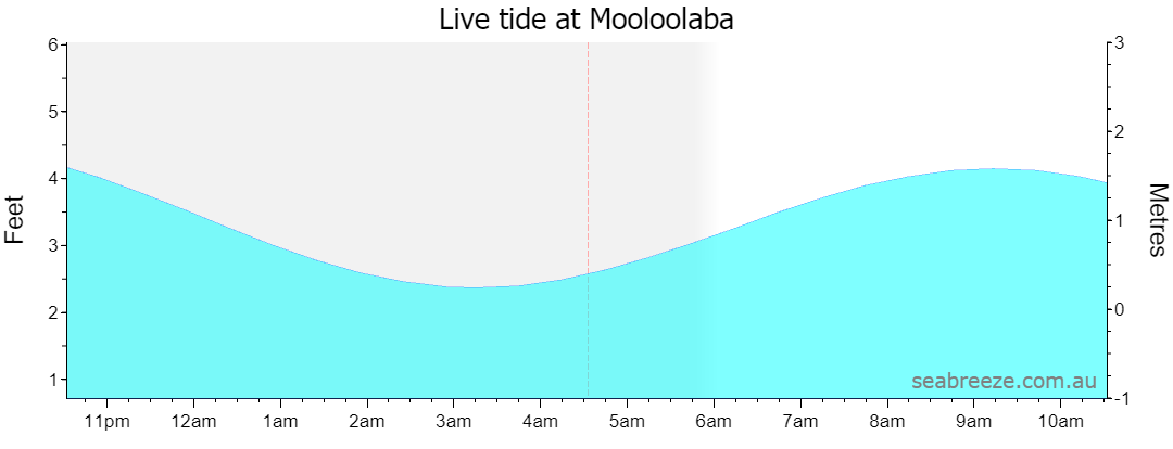 Live tide graph