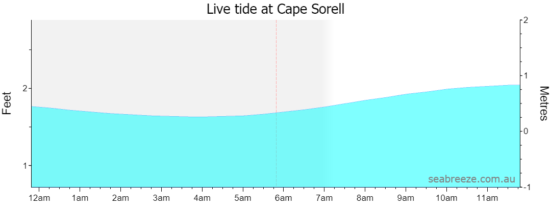 Live tide graph