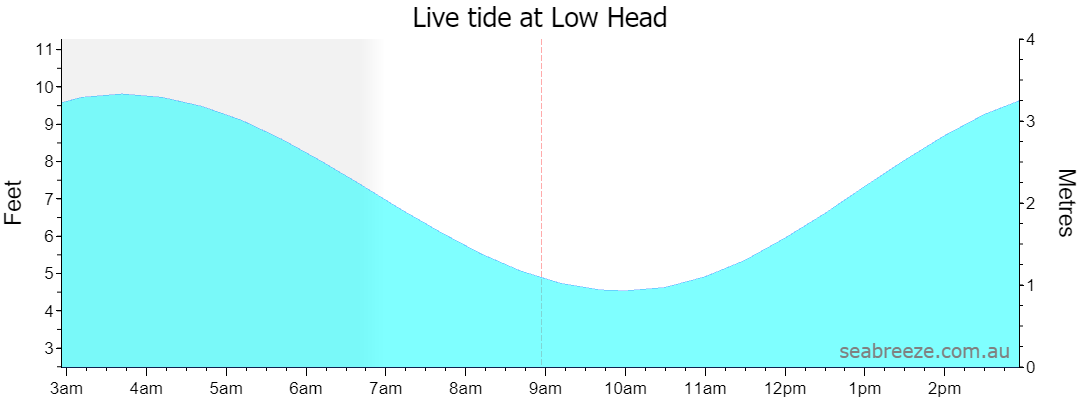 Live tide graph