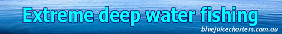 Blue Juice Fishing Charters