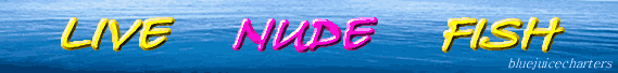 Blue Juice Charters