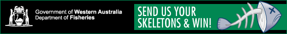 Send Us Your Skeletons