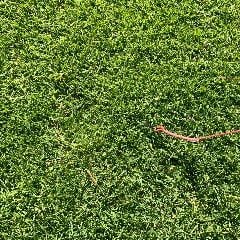 2025 Pivot - 8 metre - Image 7
