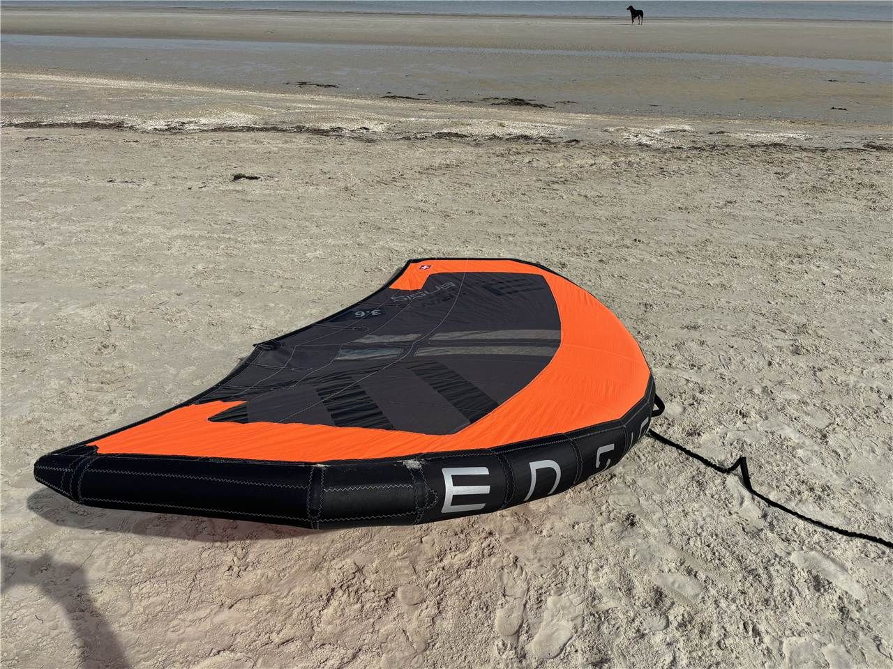 2025 Ensis Spin - Image 1