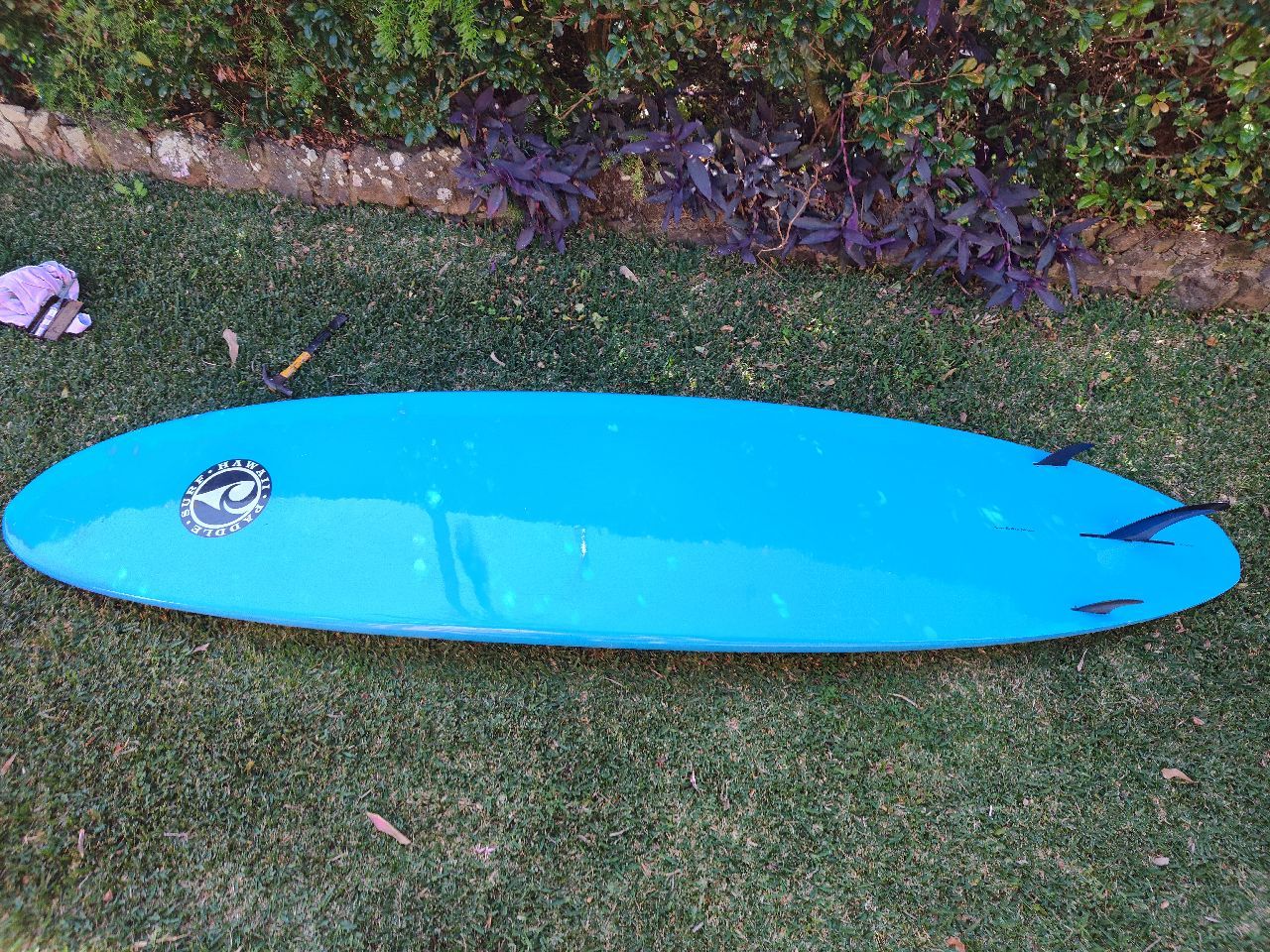 2010 PSH - Image 4
