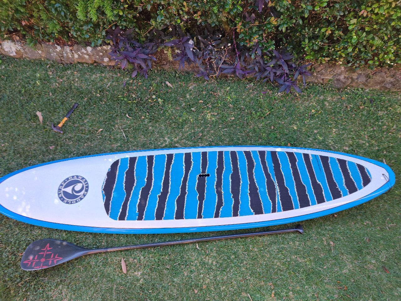2010 PSH - Image 5