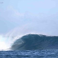 2019 Hog Custom Mini Gun Pintail Thruster - 7' 2" - Image 4