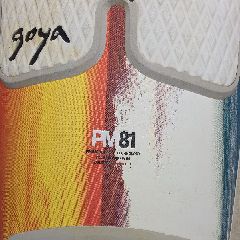 Jp Slalom, Fanatic Goya, Goya Freestyle - Image 5