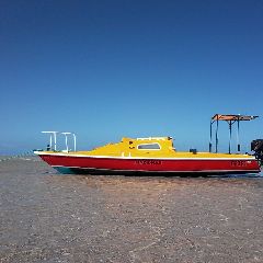 2007 Custom Built Trailer Sailer - 24' 0" - Image 4