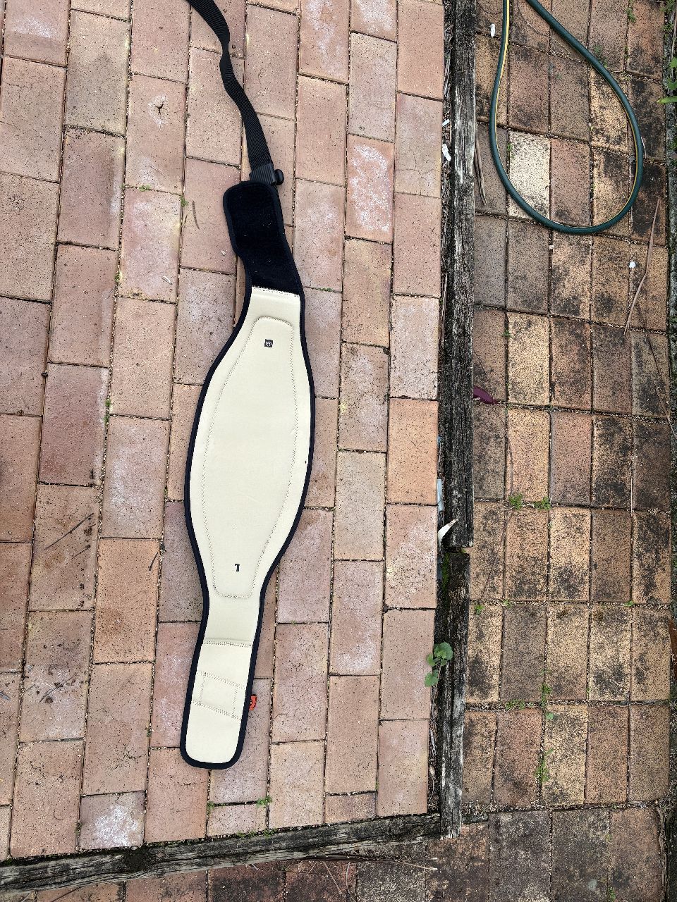 2026 Manera Pocket Wing Belt - Image 2