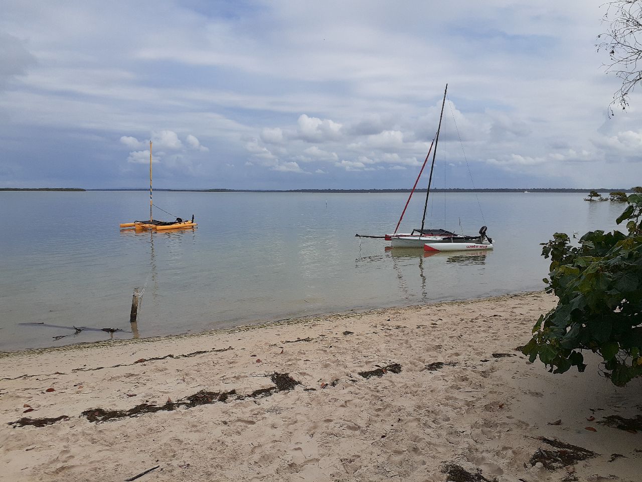 2014 Weta 4.4 Trimararn Weta 4.4 - Image 1