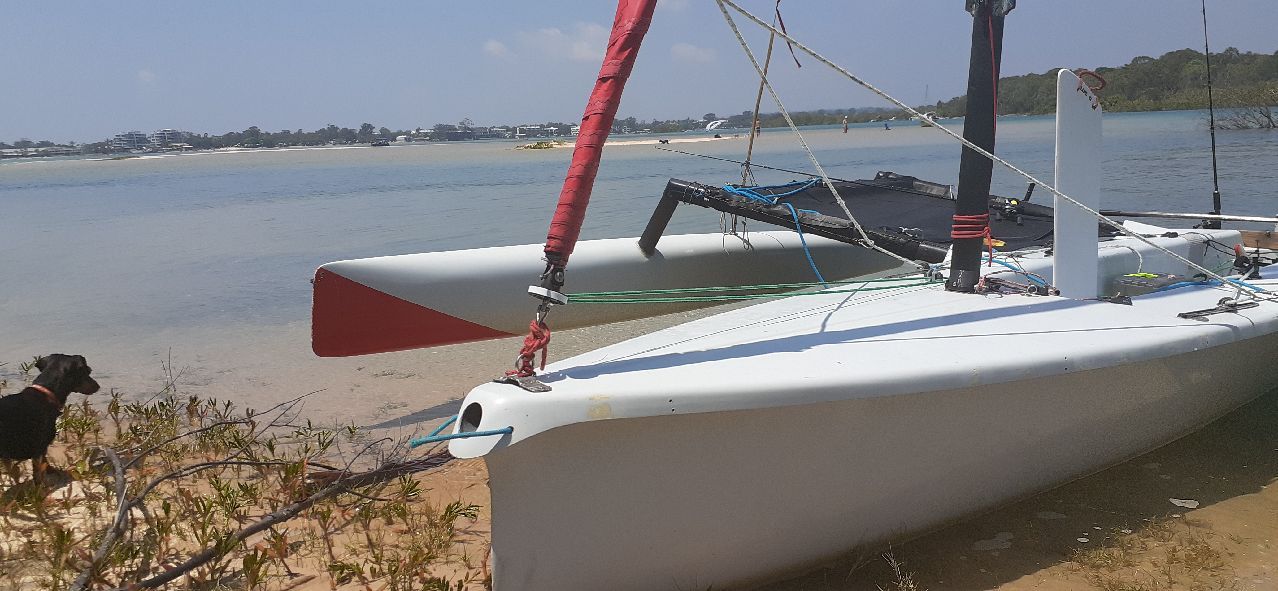 2014 Weta 4.4 Trimararn Weta 4.4 - Image 2