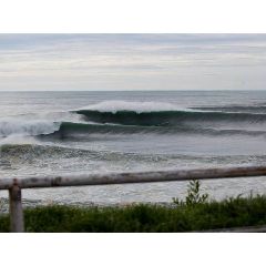 Hog Custom Thruster Performance Square Tail - 5' 10" - Image 13