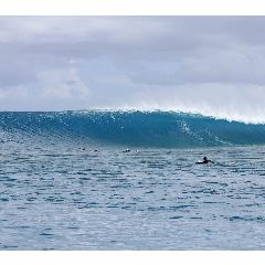 Hog Custom With Free Accessories Square Tail Thruster - 6' 2" - Image 3