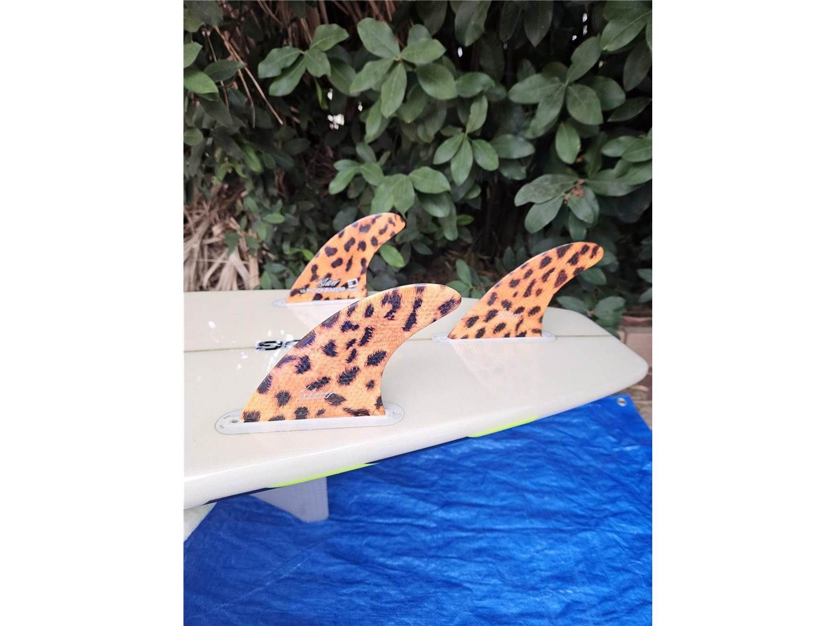 Hog Custom With Free Accessories Square Tail Thruster - Image 6