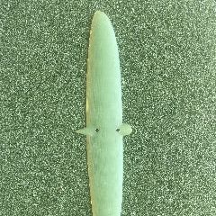 2024 Armstrong Kd Custom G10 Tail - 205 cm - Image 54