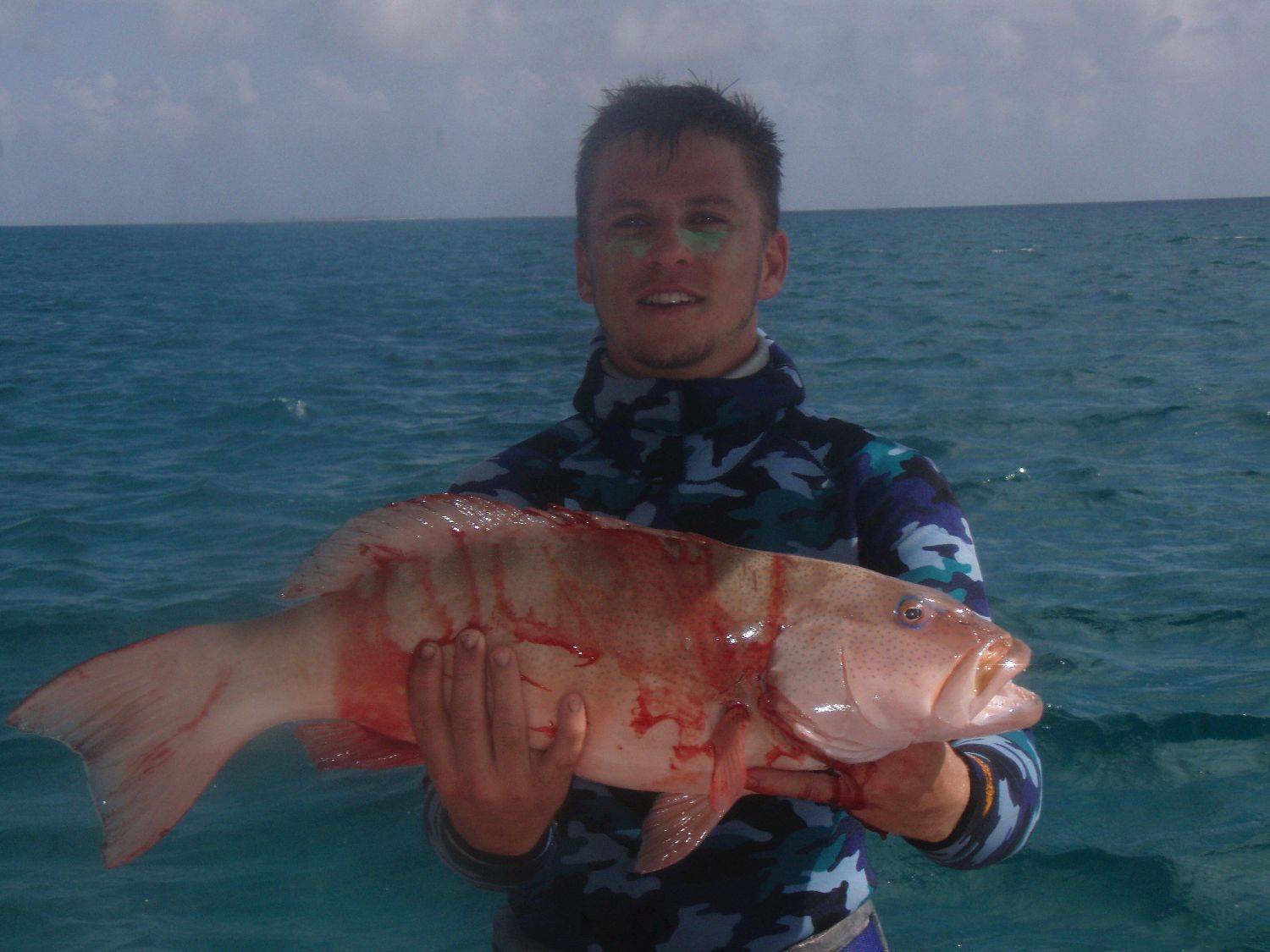 Coral Trout