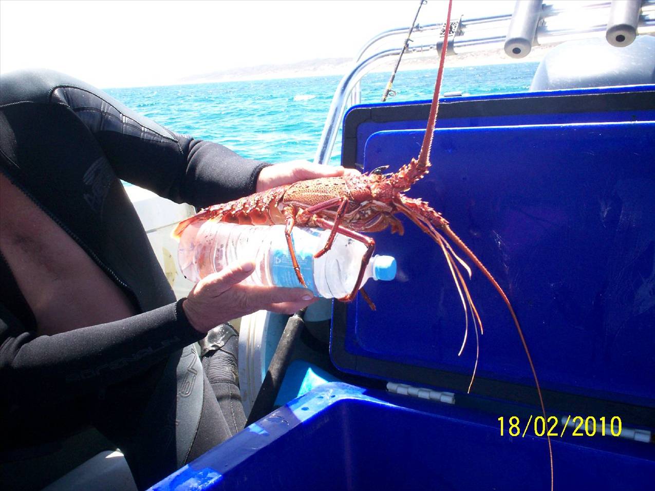 nice cray hard dive