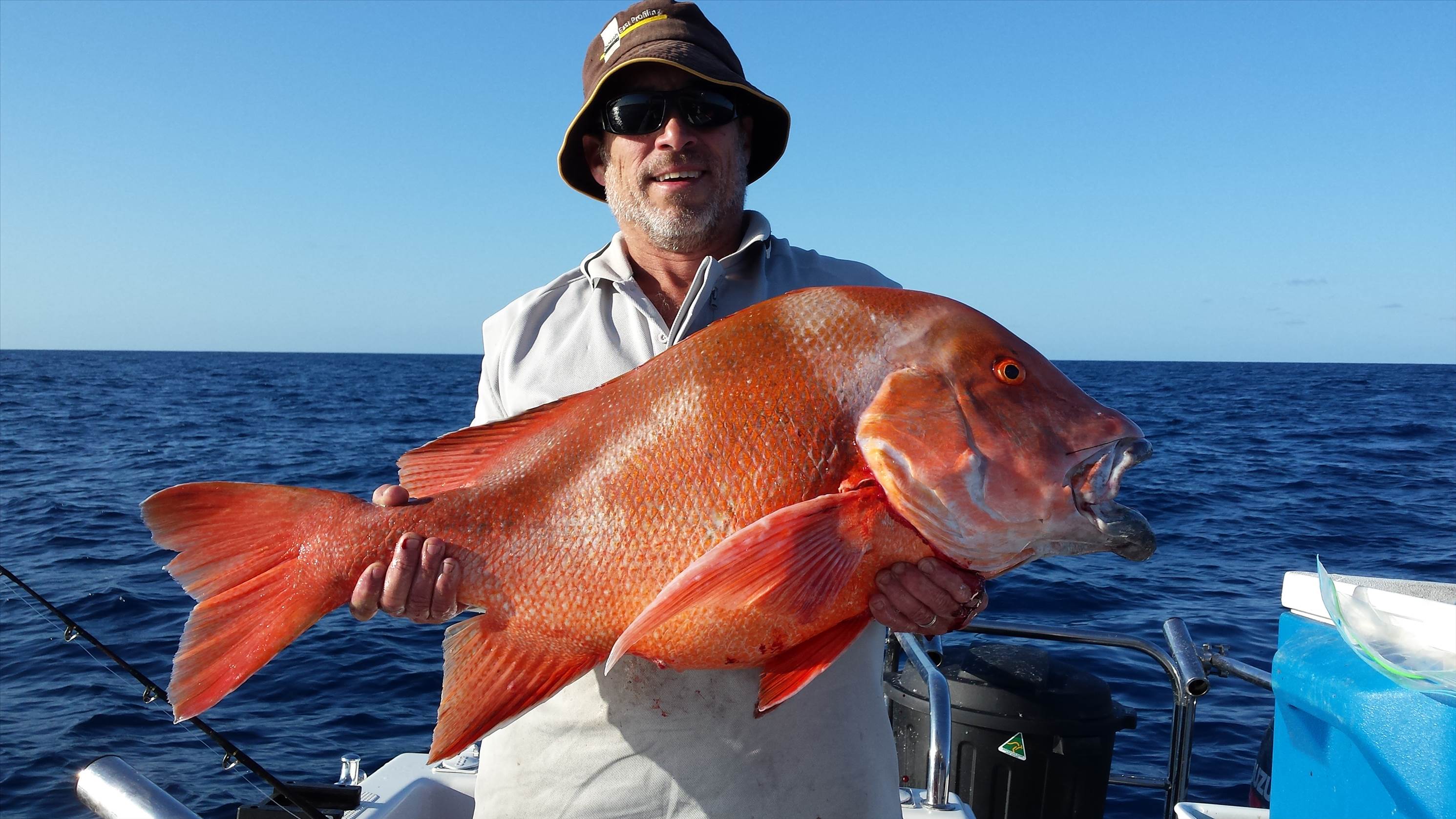 13.7 RED