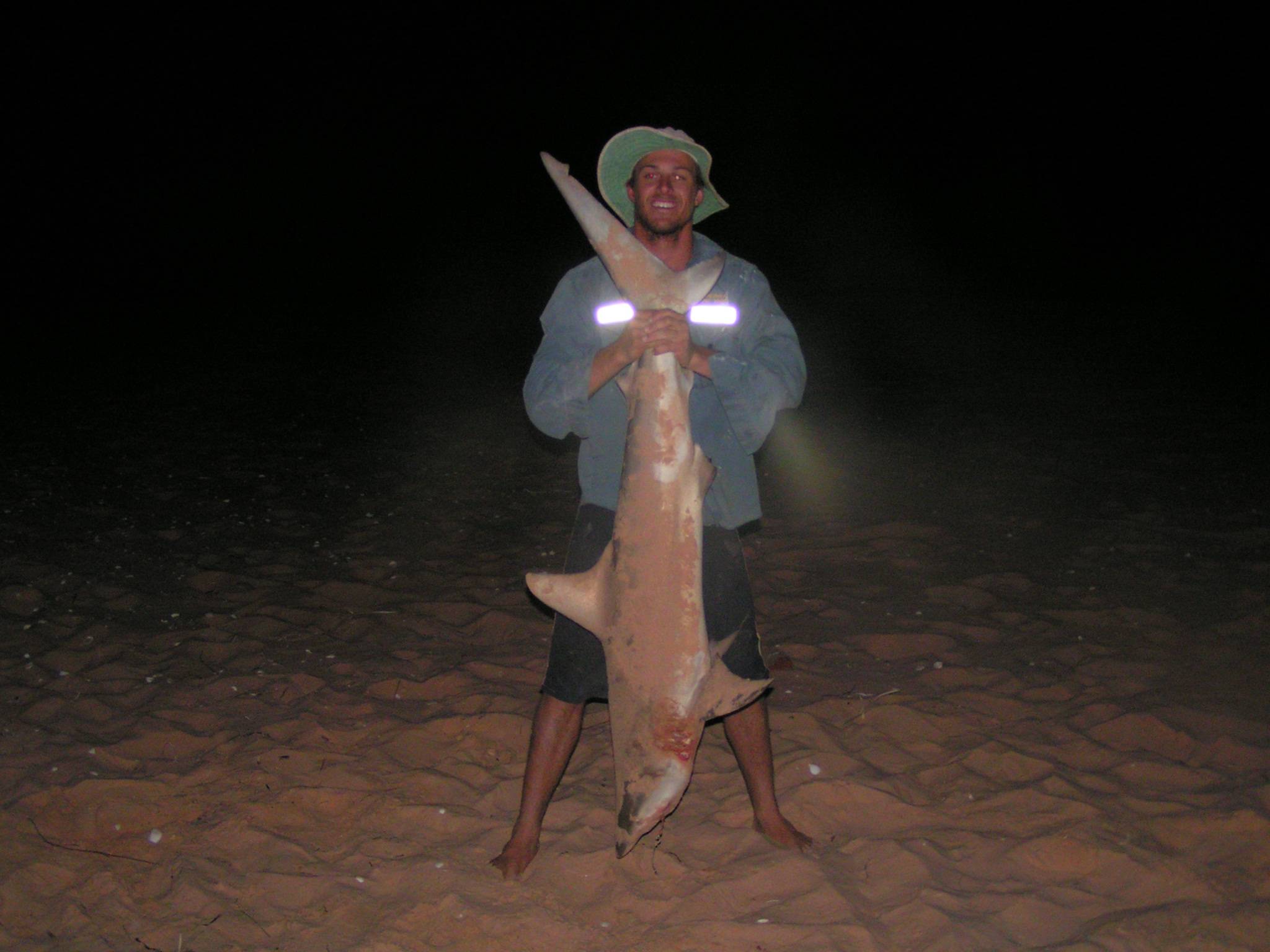 bronzey