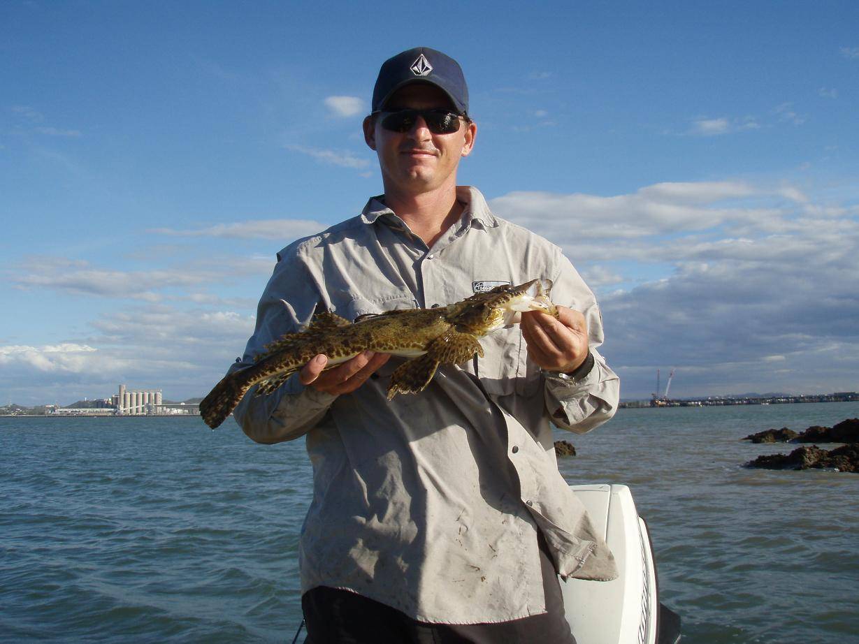 Nice little flattie