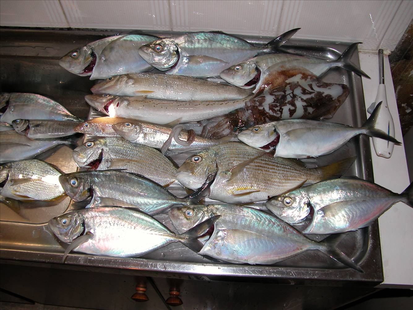 Mixed Bag
