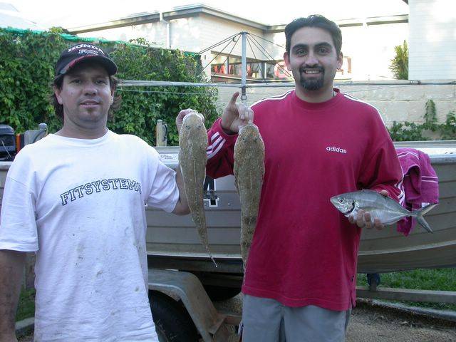 Flat Head with a pinky