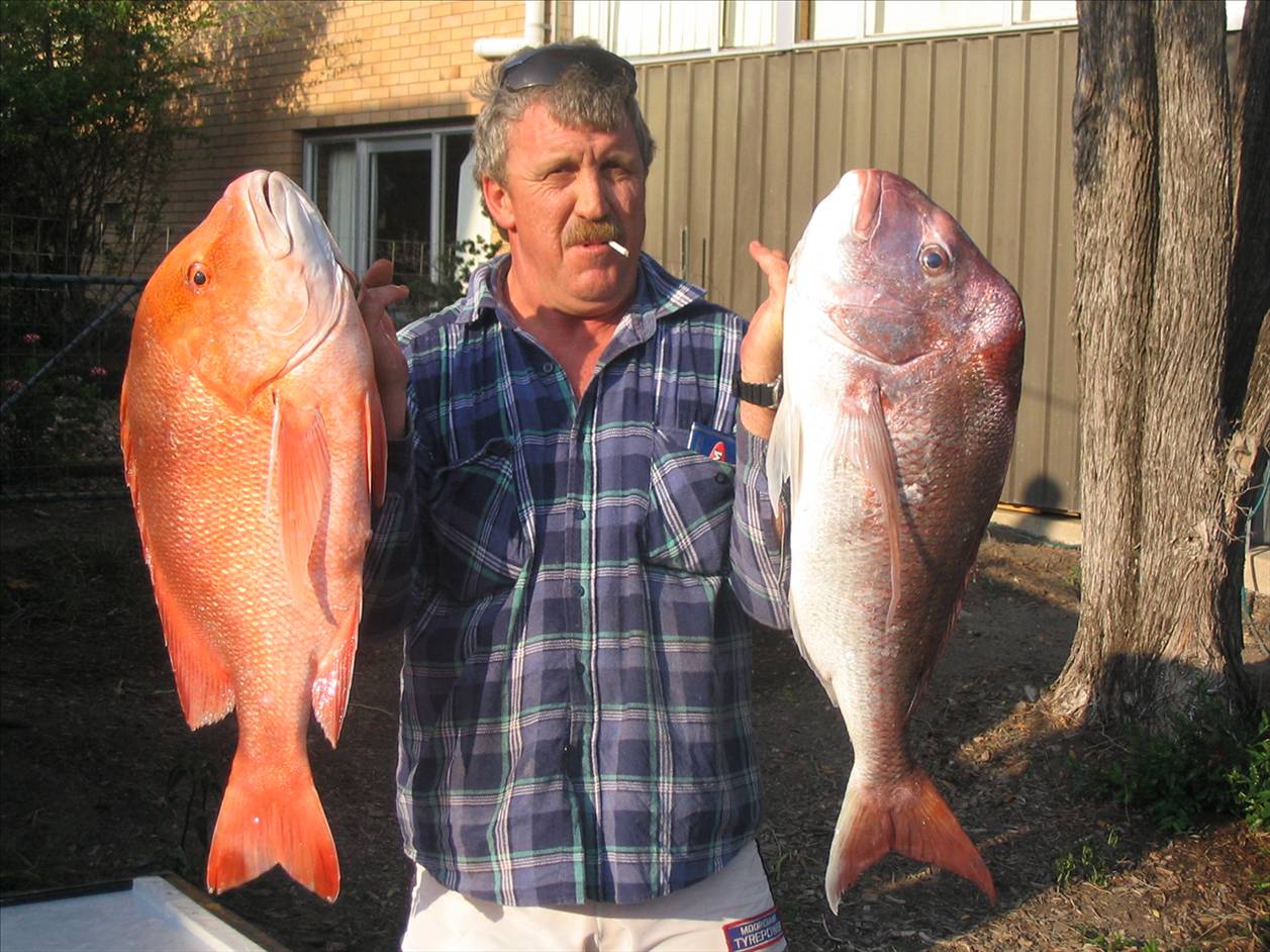 7kg snapper 8kg red