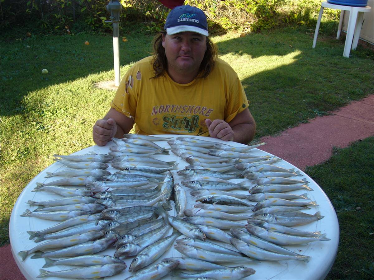 A few good whitting