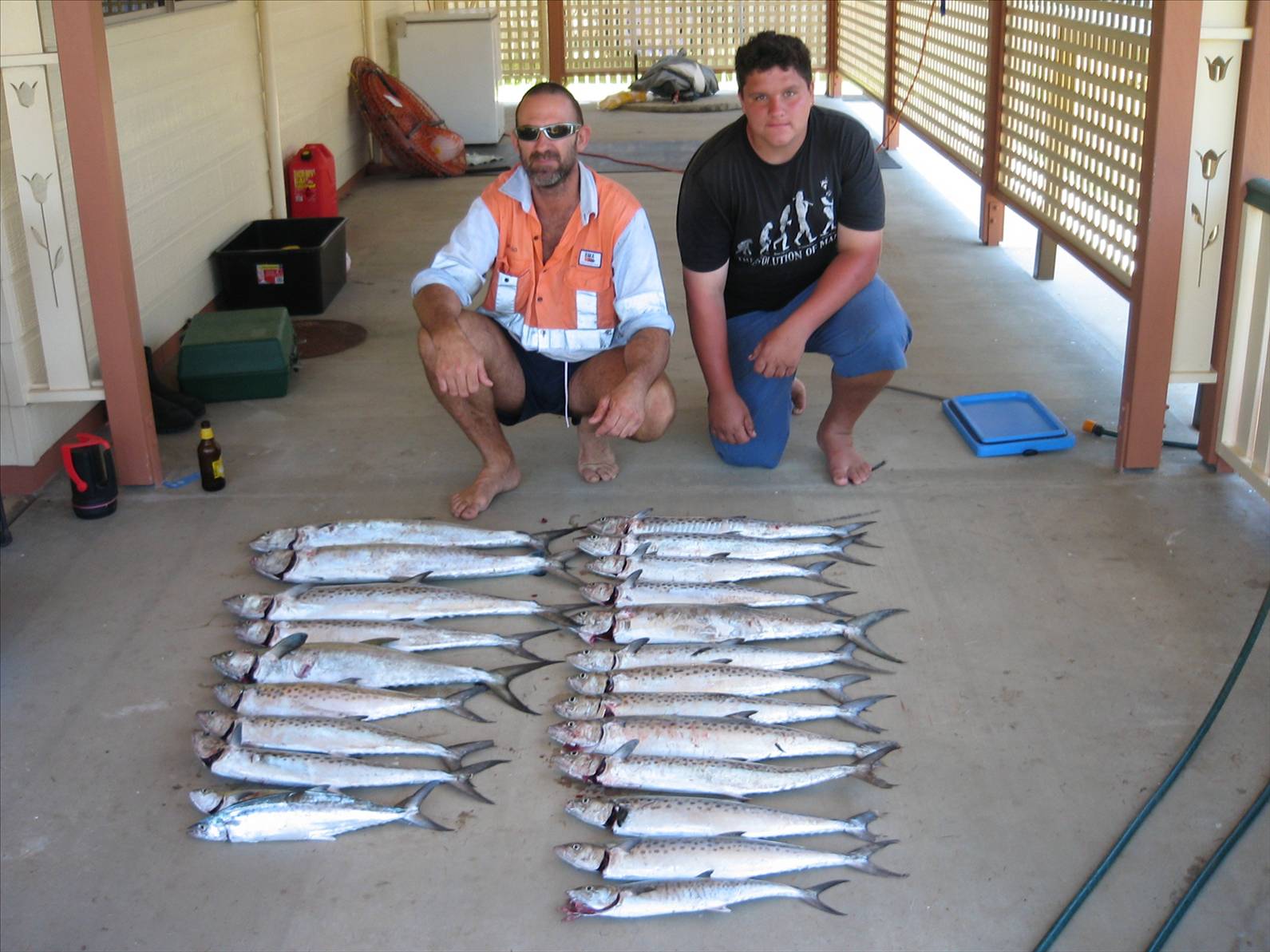 Mackeral time at Midgepoint